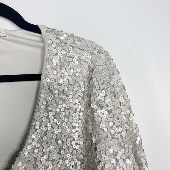 Allison Joy Medium M Light Gray Nina Matte Sequin V Neck Long Sleeve Blouse Top - Picture 4 of 11